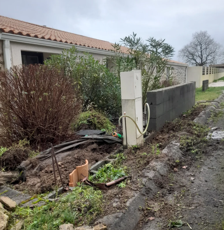 Jardin — Projet 1 — avant